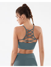Load image into Gallery viewer, Afterglow Bra
